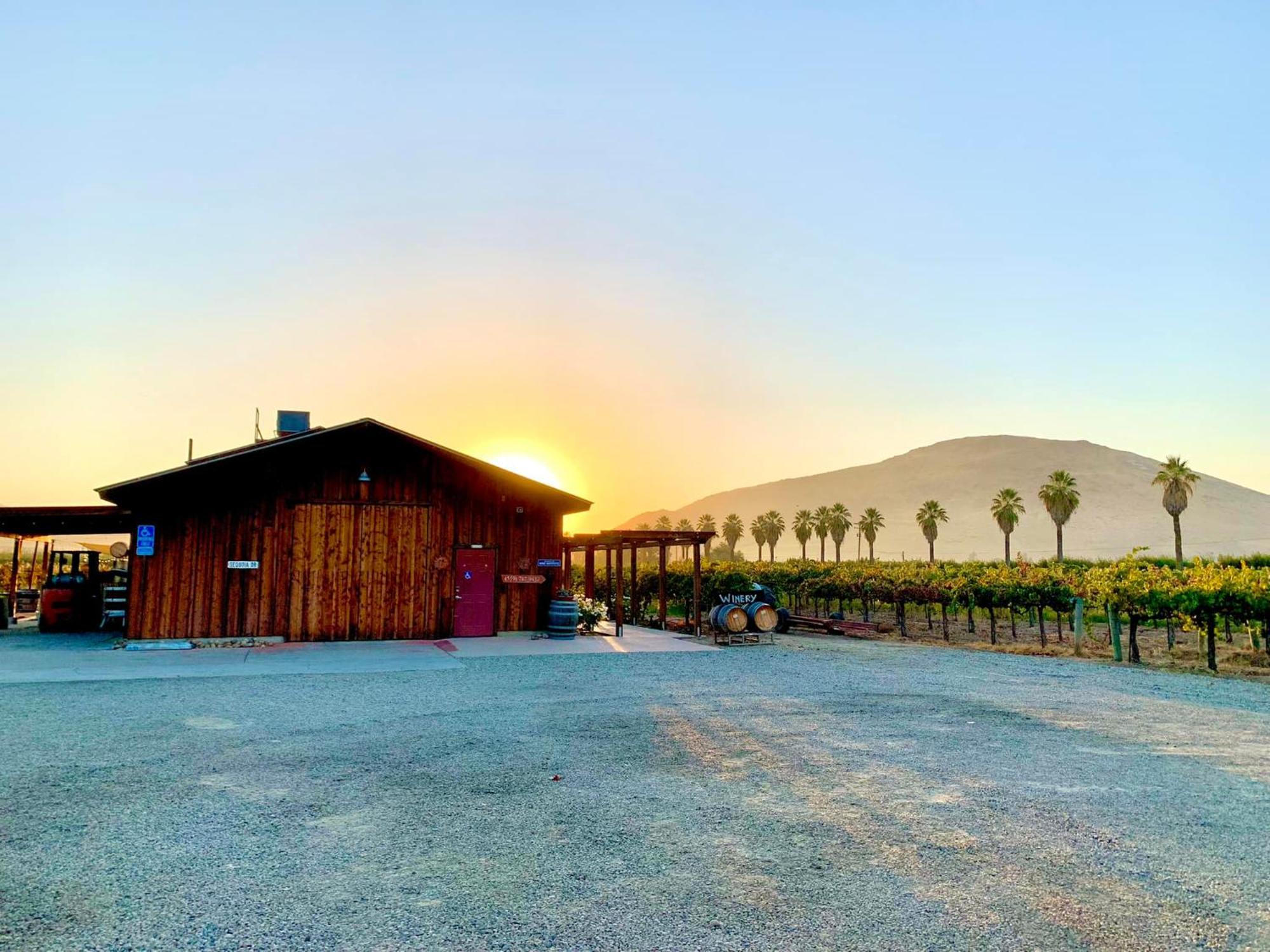 Sequoia View Vineyard Bed & Breakfast Sanger Ngoại thất bức ảnh